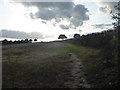 A footpath at dusk