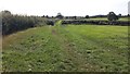 Path to Salden