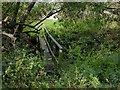 Footbridge across Hockerton Dumble