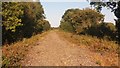 Disused Railway Track Bed