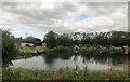 Fishing Pond, Sherburn in Elmet