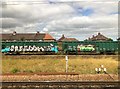 Graffitied Freight Wagons, Holgate Sidings