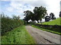 Track (footpath) towards Nutwith Cote Farm