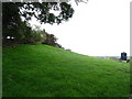 Hillside grazing near Tower Hill