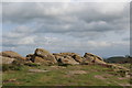 SE2044 : Gritstone Outcrops on The Chevin by Chris Heaton
