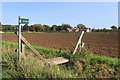 A Signpost, A Bridge and No Path