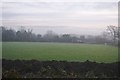 Pastureland on a misty morning