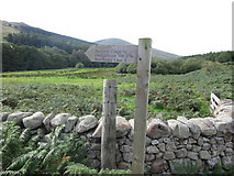 NT9522 : Sign, Harthope Valley by Geoff Holland