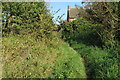 Footpath out onto Twyford Road