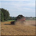 Combine Harvester at work, Stanford Rivers