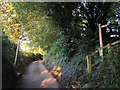 The Gritstone Trail crossing lane near Lees House Farm