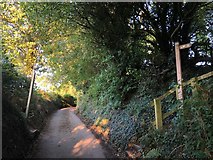 SJ9570 : The Gritstone Trail crossing lane near Lees House Farm by Philip Cornwall