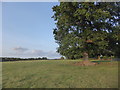 View from a footpath near Leighton Manor Farm