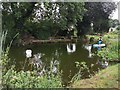 Tiverton : Grand Western Canal