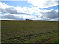 Farmland near Greenbrae