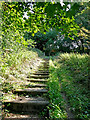 Footpath steps near Sedgley, Dudley