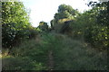 Footpath to the Oxford Road