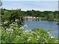 Aldershot - Gold Valley Lakes