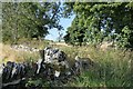 Drystone Wall