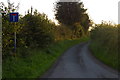 SJ3632 : Lane to Frankton Farm by Christopher Hilton