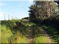 Llwybr yn nesau at heol / A path approaching  a road