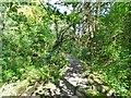 Footpath by Eagley Brook