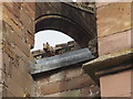 Gargoyle on Melrose Abbey