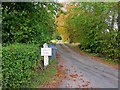 Lane to Rendham Barnes