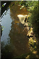 SX6960 : Rocks below Lydia Bridge by Derek Harper