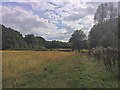 Field north of Tinsley Green