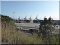 TM2734 : Felixstowe Docks from Fagbury Viewpoint by Chris Holifield