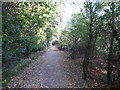 Footpath above Fagbury Cliff