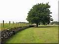 Grassy area at the junction of the A689 and B6278