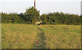 Footpath through field, near Stocks Lane, Kelvedon Hatch