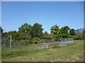 Disused tennis court