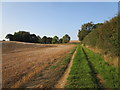 Footpath to Woodford Hill