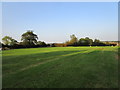 Grass field with bales