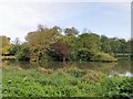 TQ5901 : Decoy Pond, Hampden Park by PAUL FARMER