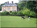 Summerfield Park, Llanidloes