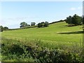 Green hillside