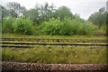 Overgrown sidings