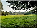 View over Sanctuary Moor from Toft Road