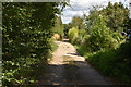 Lane to Danehill Farm