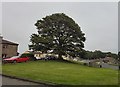 Bainbridge Village Green