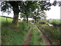 Llwybr ger Cathilas / Path near Cathilas