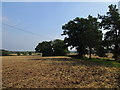 SP2465 : Harrowed field near Budbrooke Farm by Jonathan Thacker