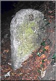 TG1908 : Old Milestone (west face) by the B1108, Earlham Road, Norwich by CW Haines