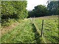 Footpath to Cowden