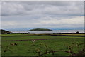 Farmland at Torr