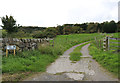 Road into Little Forest